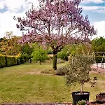 Bed & Breakfast Le Grand Chemin De La Vie