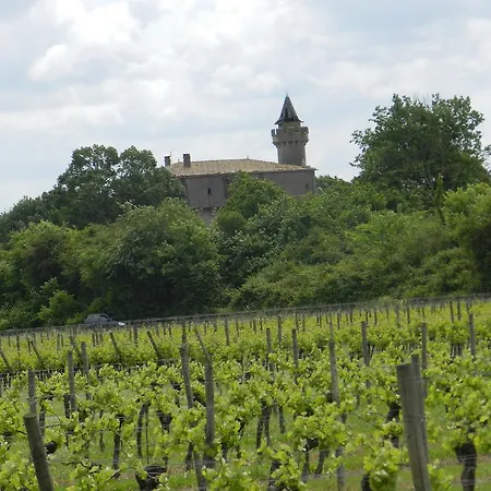 Le Grand Chemin De La Vie Montcaret
