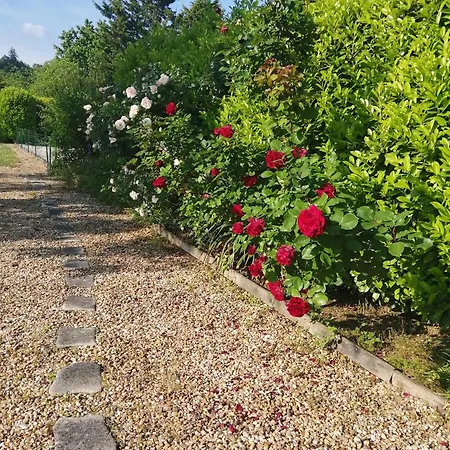 Le Grand Chemin De La Vie Bed & Breakfast Montcaret