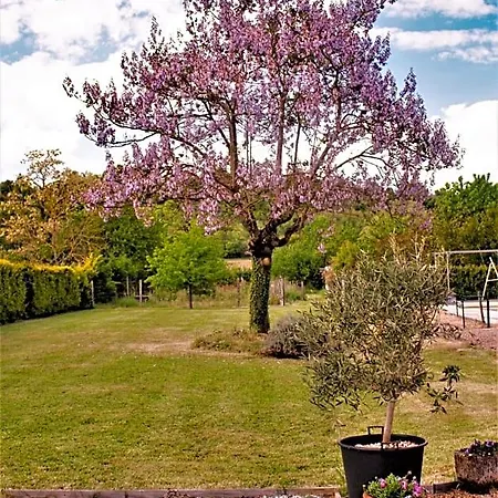 Bed & Breakfast Le Grand Chemin De La Vie Montcaret