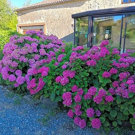 Bed and breakfast Le Grand Chemin De La Vie Montcaret