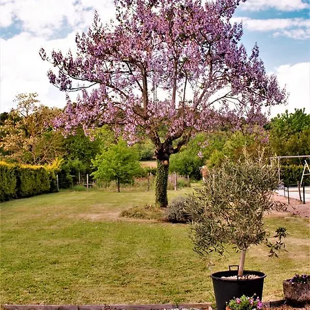Bed & Breakfast Le Grand Chemin De La Vie